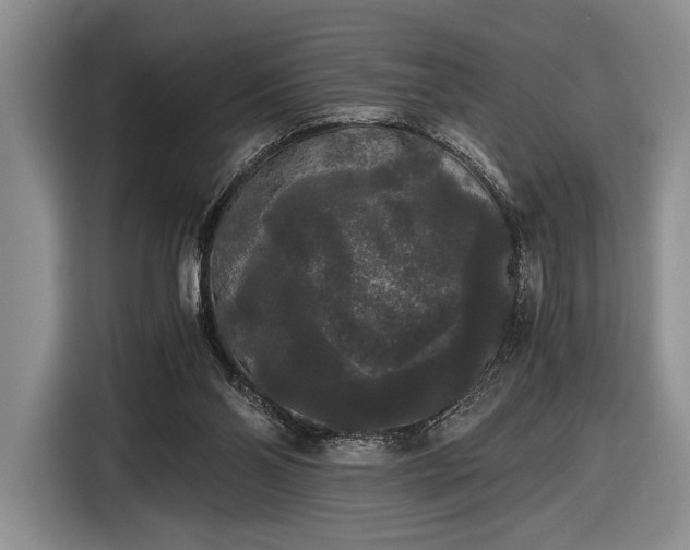 X0000116480110200912161300