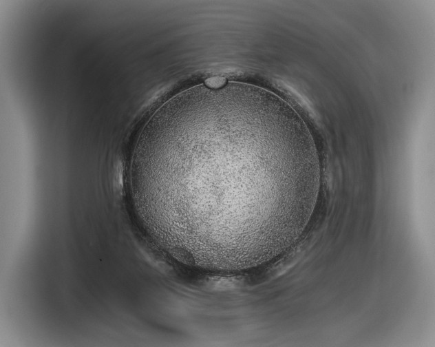 X0000116480115200912161300