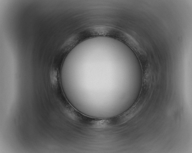 X0000116480122200912161300