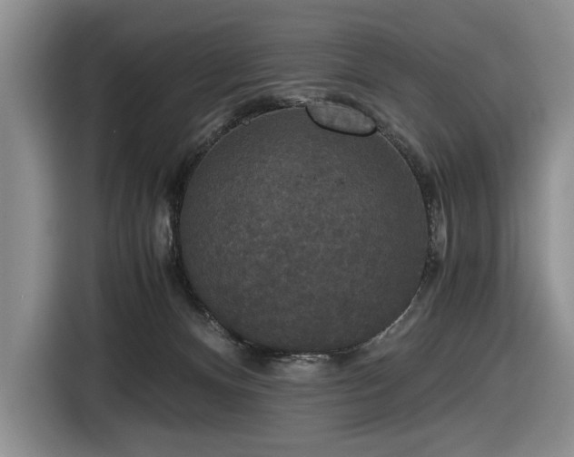 X0000116480128200912161300