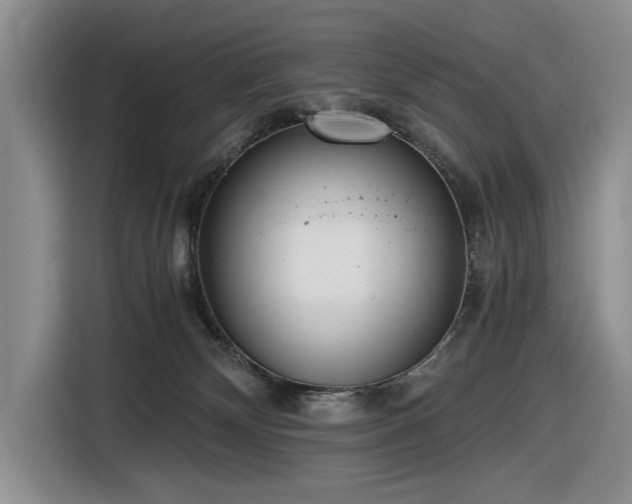 X0000116480132200912161300