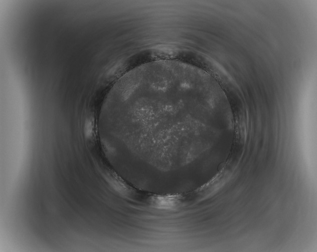 X0000116480134200912161300