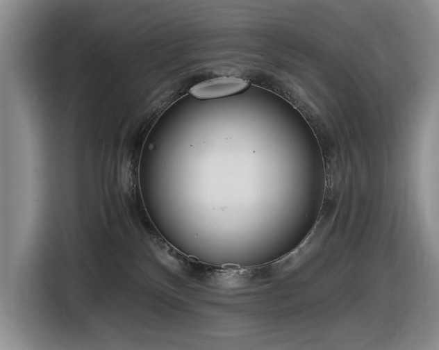 X0000116480136200912161300