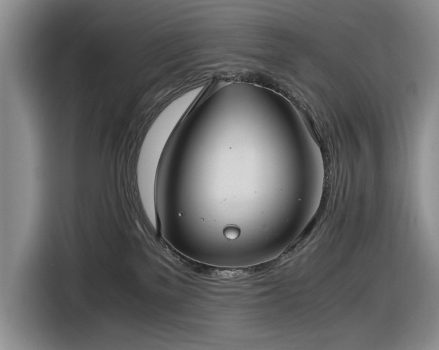 X0000116480137200912161300