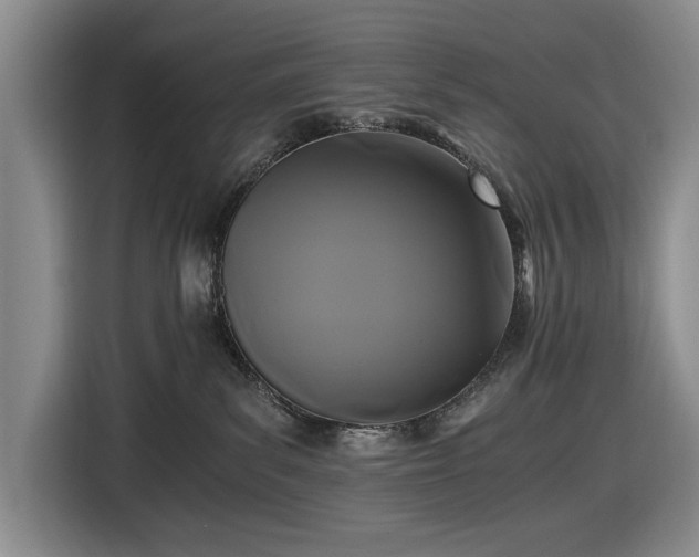 X0000116480139200912161300