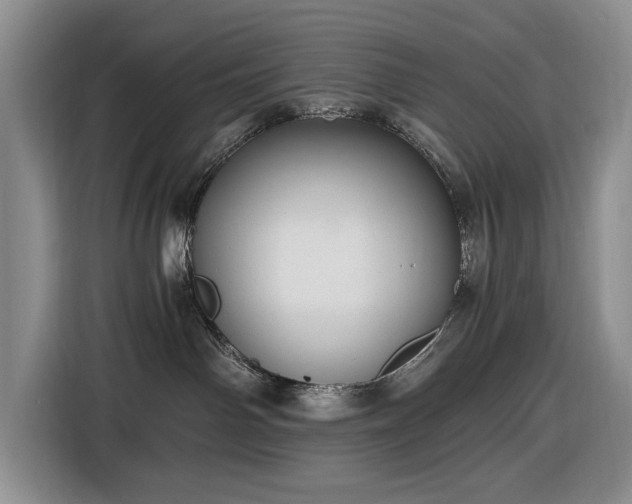 X0000116480142200912161259