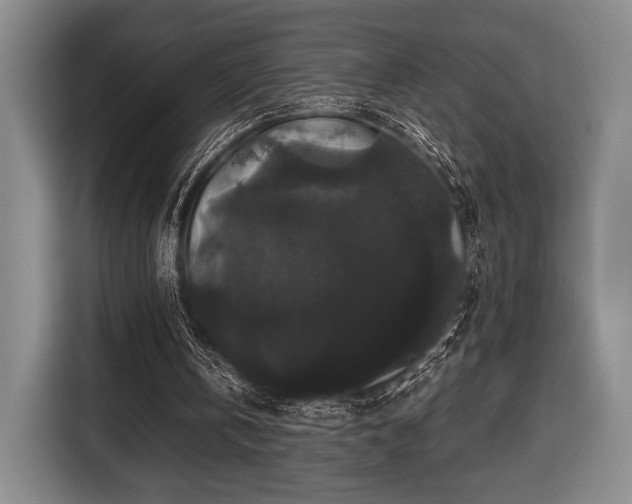 X0000116480146200912161259