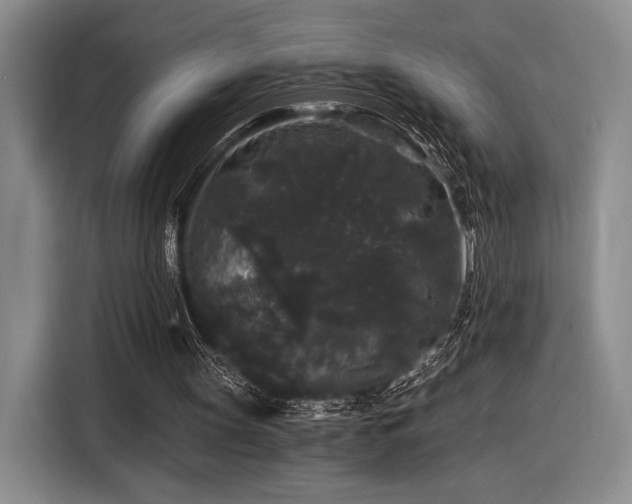 X0000116480147200912161259