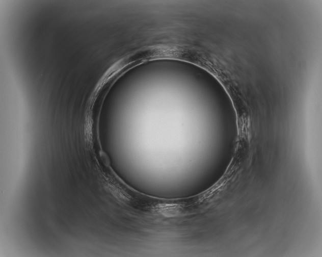 X0000116480150200912161259