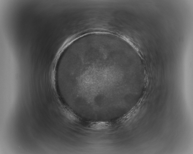 X0000116480151200912161259