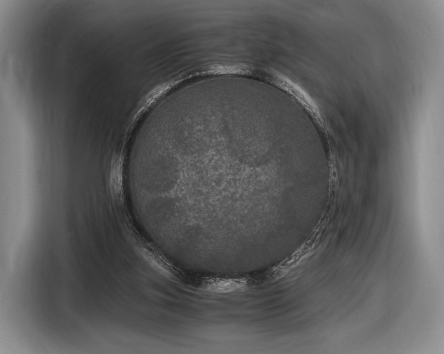 X0000116480155200912161259