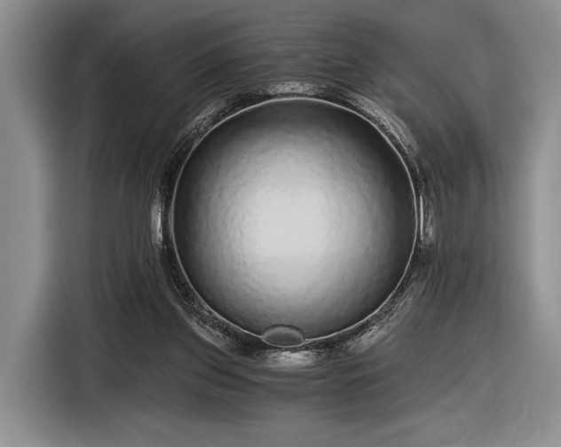 X0000116480157200912161259