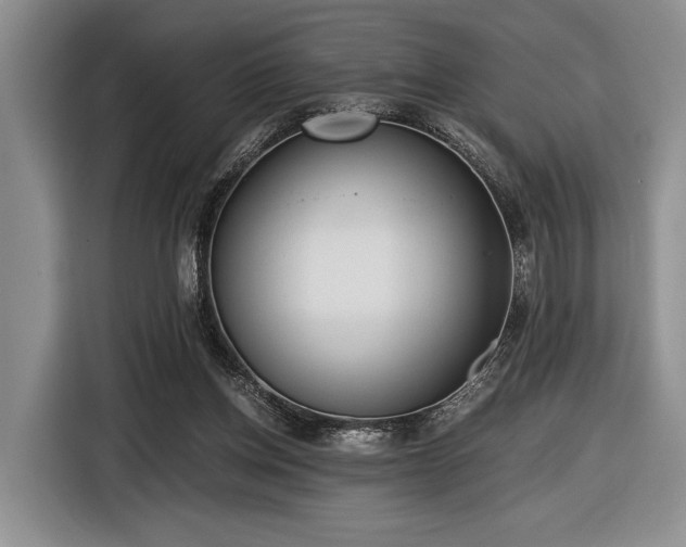 X0000116480158200912161259