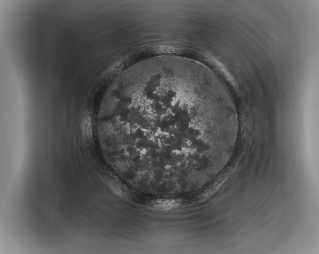 X0000116480161200912161259