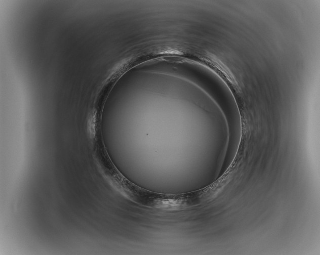 X0000116480163200912161259