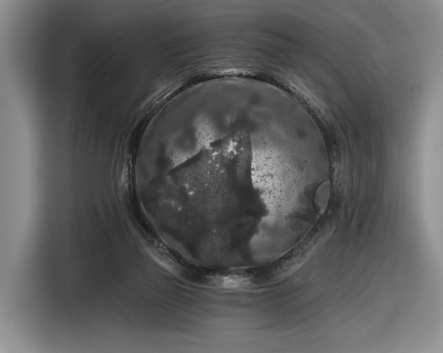 X0000116480165200912161259