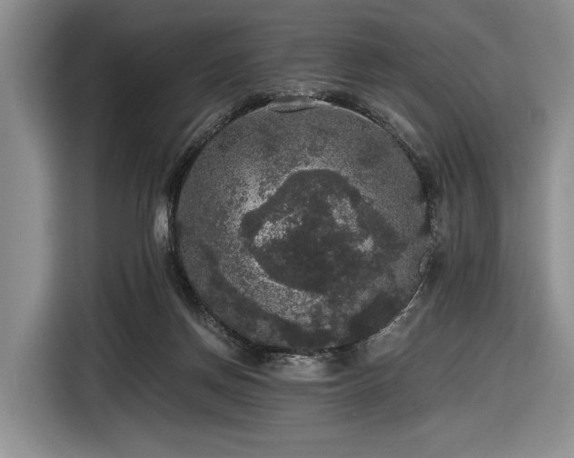 X0000116480166200912161259