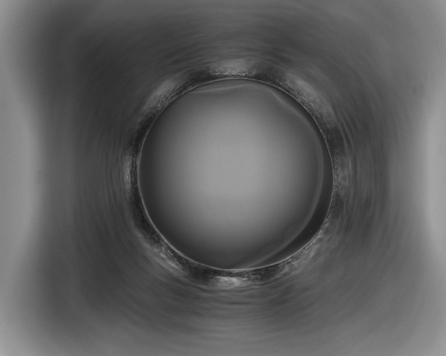 X0000116480167200912161259