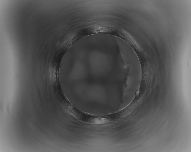 X0000116480169200912161259