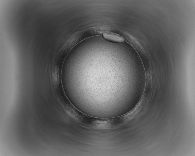 X0000116480170200912161259