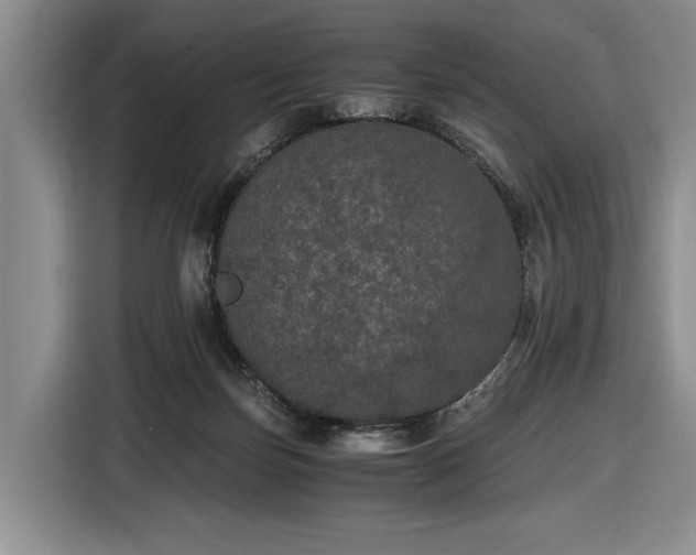 X0000116480171200912161259