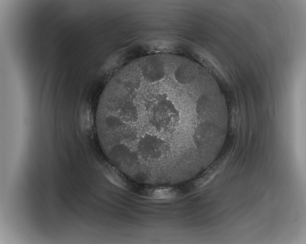 X0000116480173200912161259