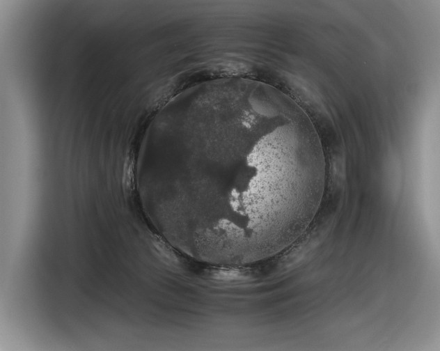 X0000116480177200912161259