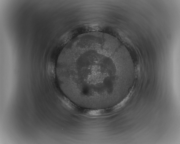 X0000116480178200912161259