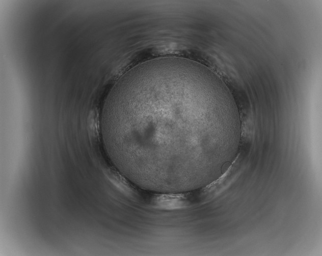 X0000116480179200912161259