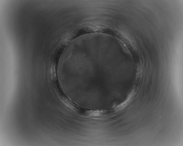 X0000116480182200912161259