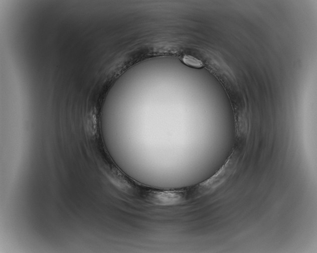 X0000116480183200912161259