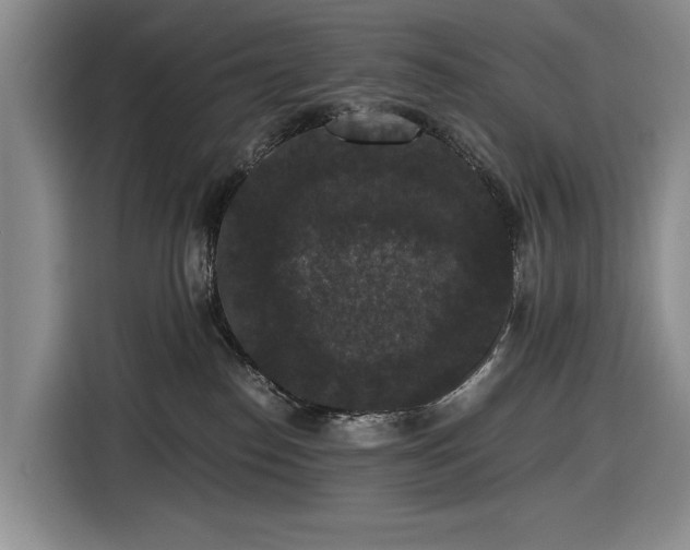 X0000116480186200912161259