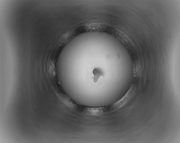 X0000116480187200912161259