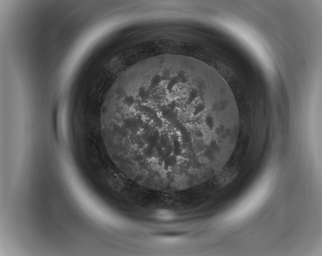 X0000116480189200912161259