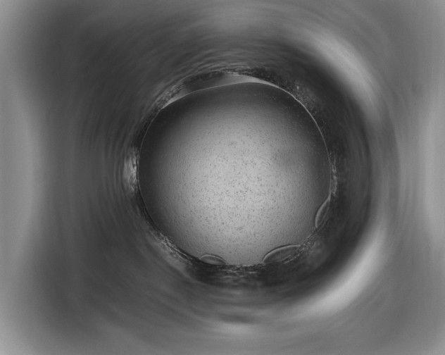 X0000116480190200912161259