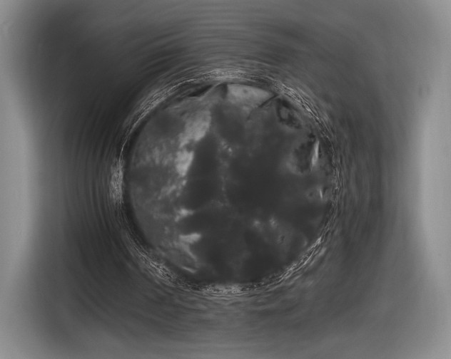 X0000116480194200912161259