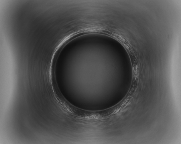 X0000116480196200912161259