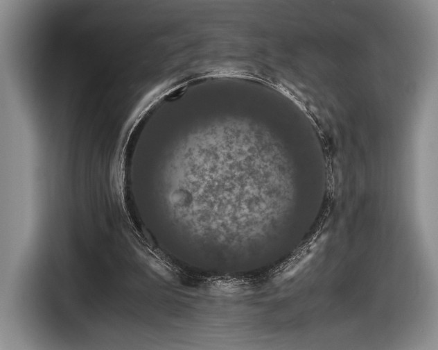 X0000116480199200912161259