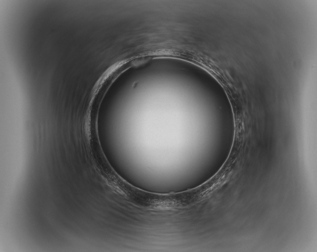 X0000116480200200912161259