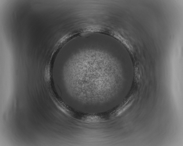 X0000116480203200912161259