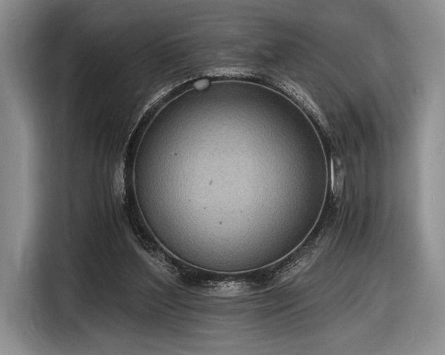 X0000116480204200912161259