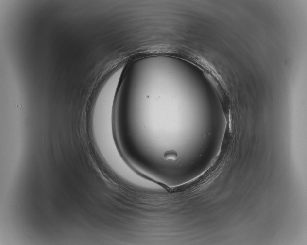 X0000116480205200912161259