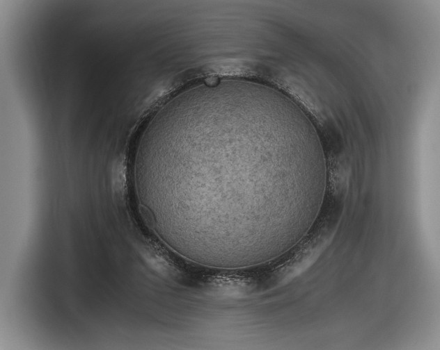 X0000116480207200912161259