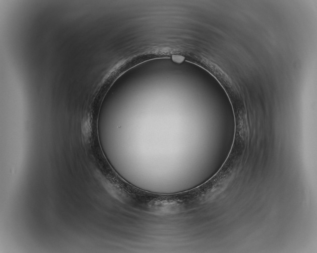 X0000116480208200912161259