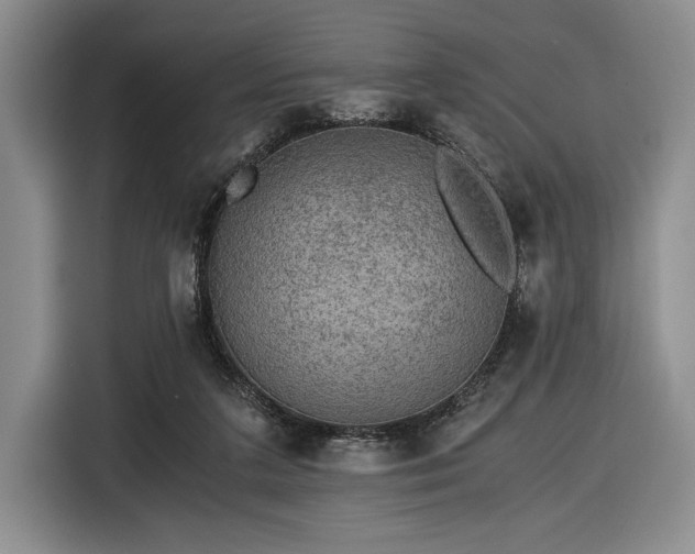 X0000116480211200912161259