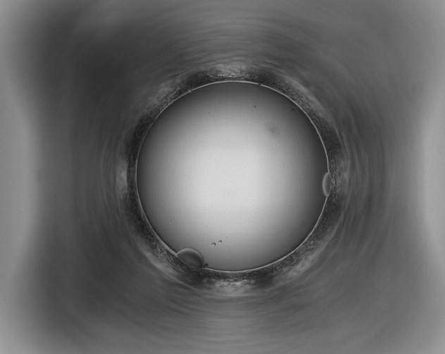 X0000116480213200912161259