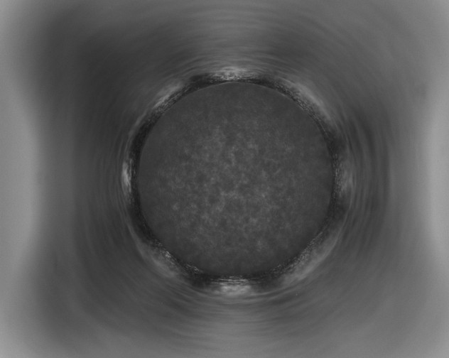 X0000116480214200912161259