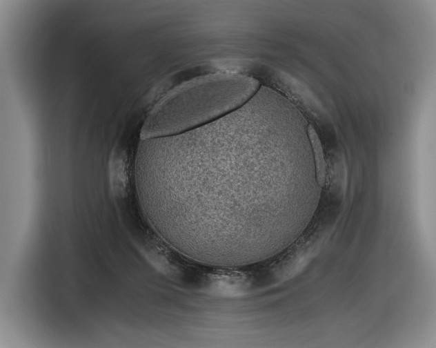 X0000116480215200912161259