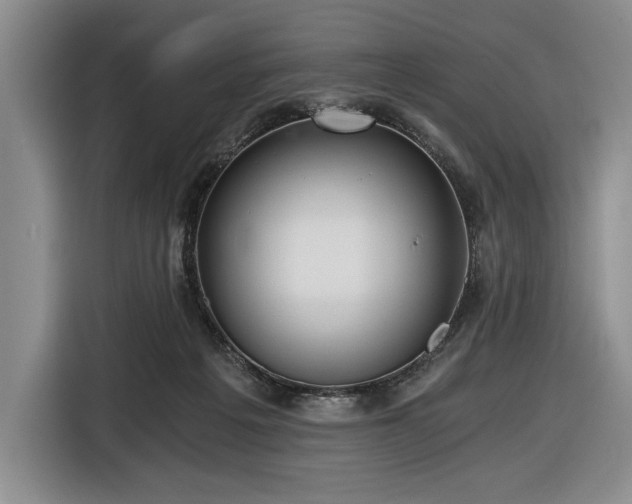 X0000116480217200912161258