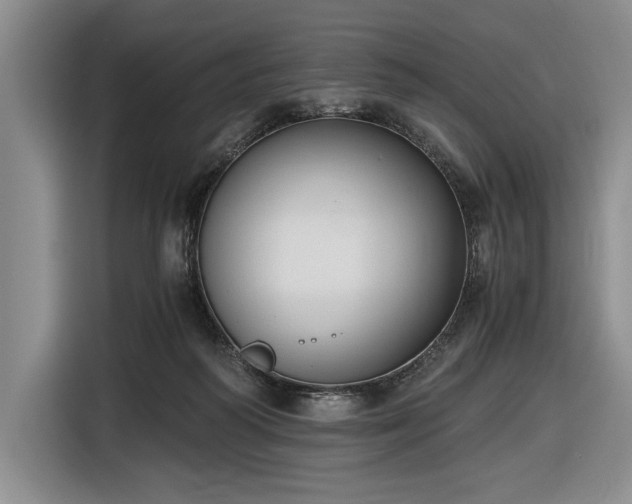 X0000116480218200912161258